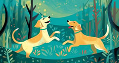 Two yellow dogs jumping in a wooded meadow. Their noses point up as each jumps to tag the other.