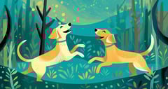 Two yellow dogs jumping in a wooded meadow. Their noses point up as each jumps to tag the other.