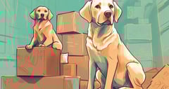 Two yellow English Labradors sitting in room with many boxes. Can they rearrange the boxes without breaking anything?
